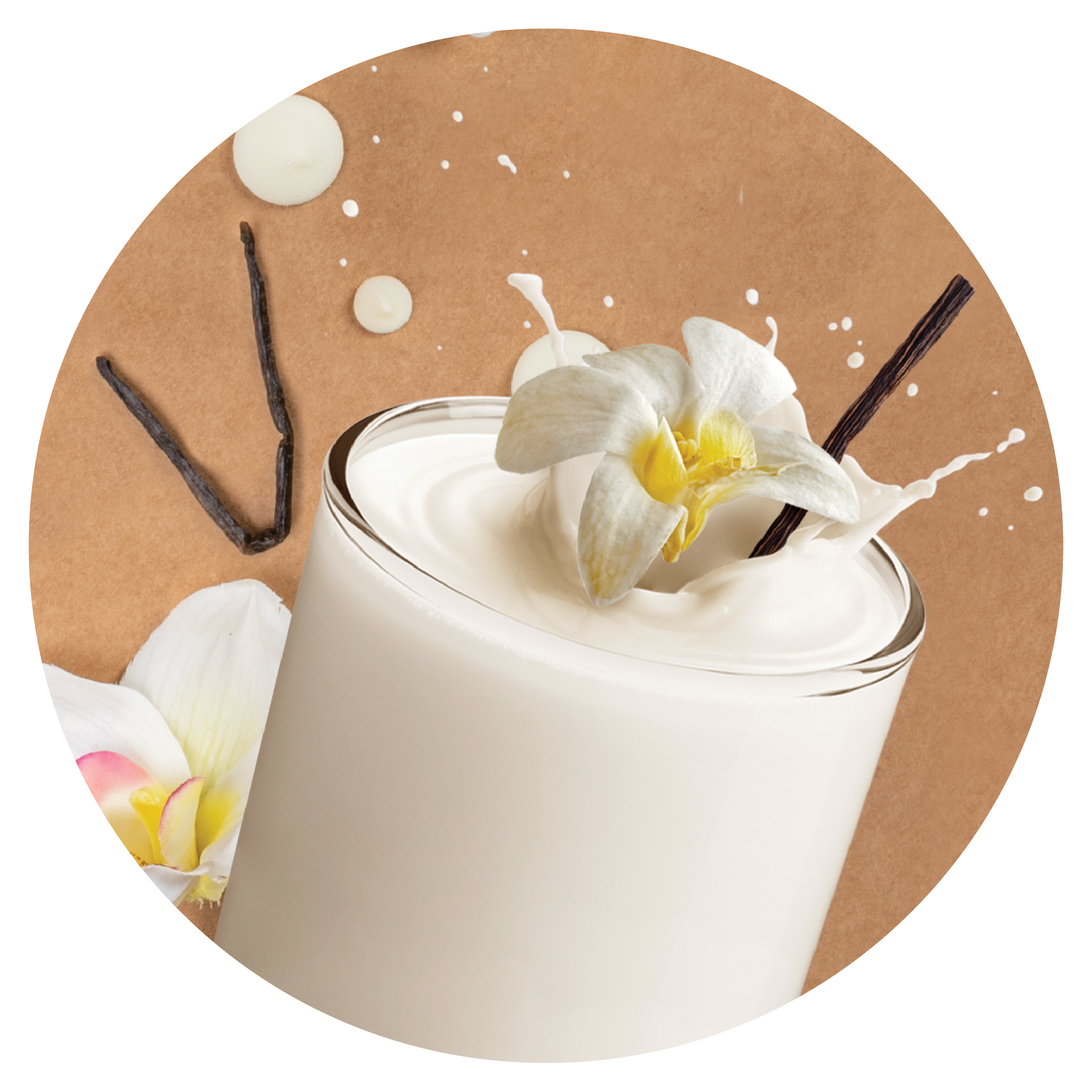 Vanilla Plant-Based Shake